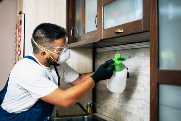 Pest Control Cost in Paris, KY