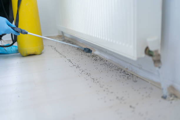 Best Mosquito Control Services  in Paris, KY